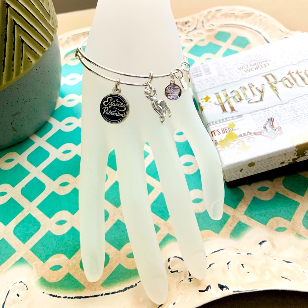 Alex and Ani Harry Potter bracelet